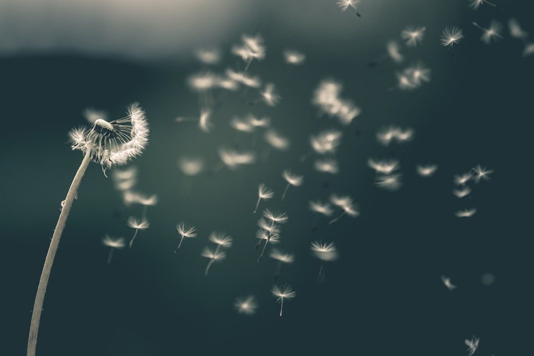 Kann ein Medium vermisste Personen finden? – Ein Medium antwortet.