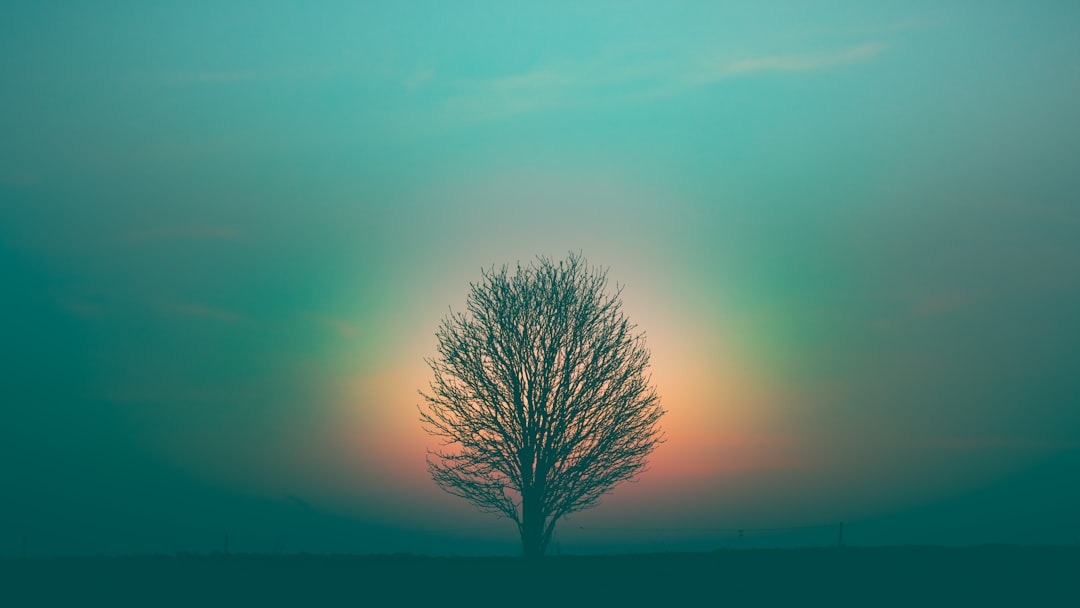 What is a spiritual awakening? (And why it can feel so overwhelming)
